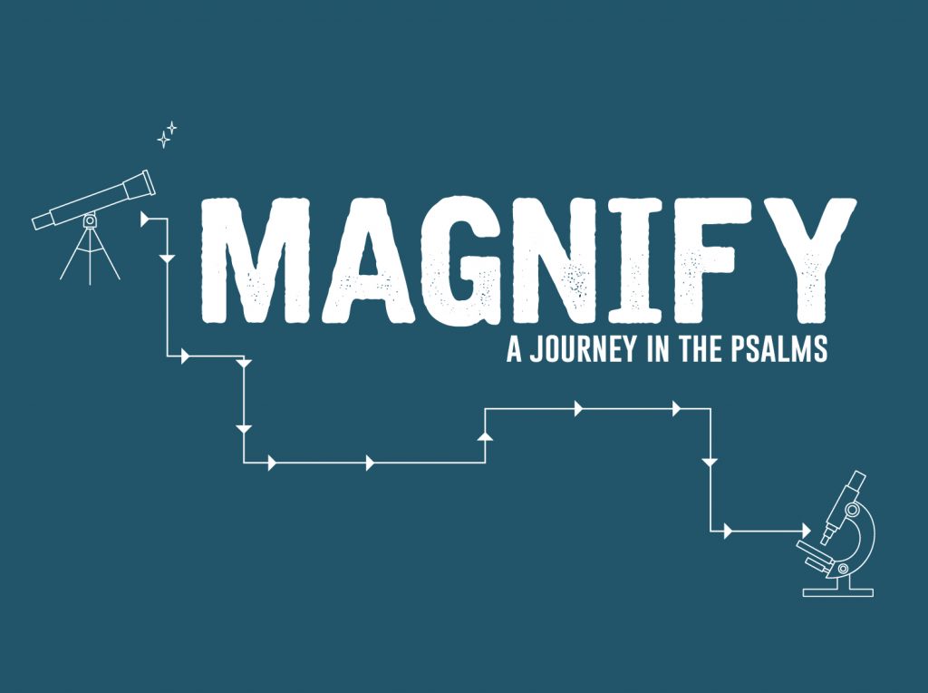 Magnify