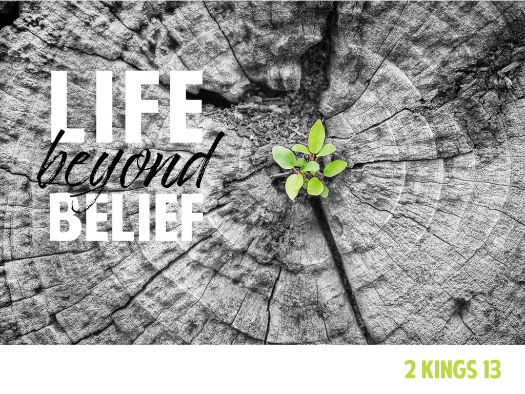 Life Beyond Belief