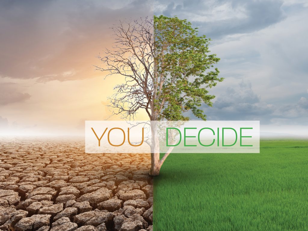 You Decide